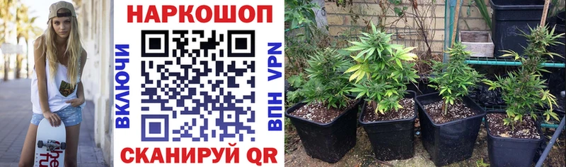 Купить наркотики Нерюнгри Бошки Шишки  Кокаин  АМФ  MDMA  hydra tor  Меф  APVP 
