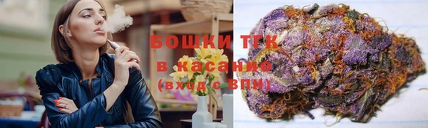 бошки Верхний Тагил
