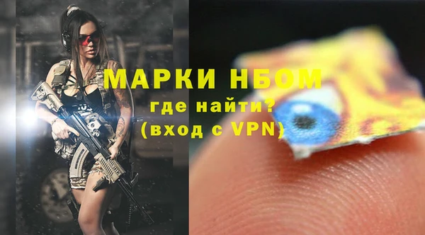 индика Бронницы
