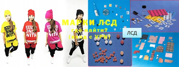 ГАЛЛЮЦИНОГЕННЫЕ ГРИБЫ Бородино