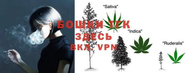 индика Бронницы