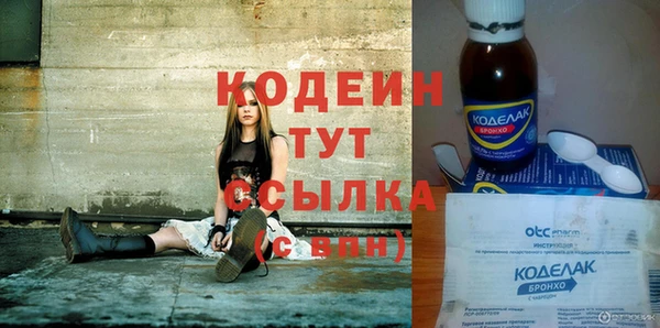 индика Бронницы