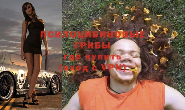 ГАЛЛЮЦИНОГЕННЫЕ ГРИБЫ Бугульма