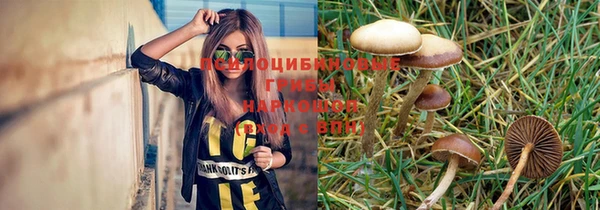 амф Верея