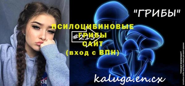 амф Верея