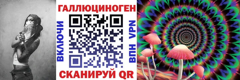 купить закладку  Нерюнгри  Псилоцибиновые грибы GOLDEN TEACHER 