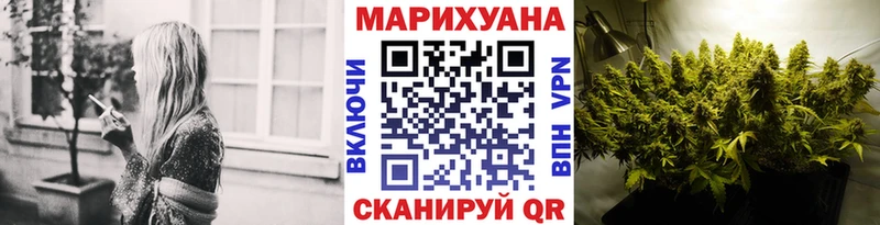 Каннабис план  купить наркотики сайты  OMG как войти  Нерюнгри 